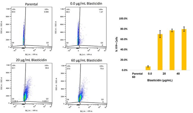 Truetag Donor Dna Kit Yfp