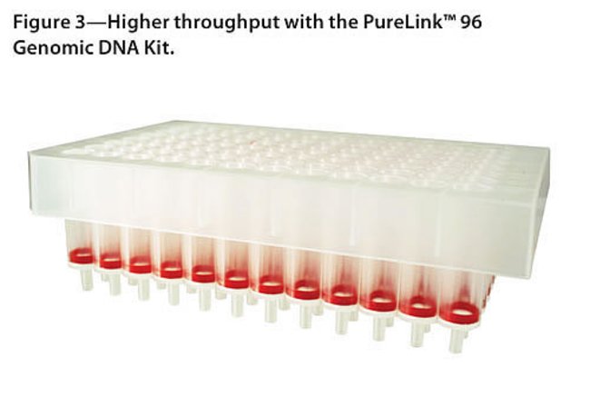 Purelink Genomic Lysis Binding Buffer