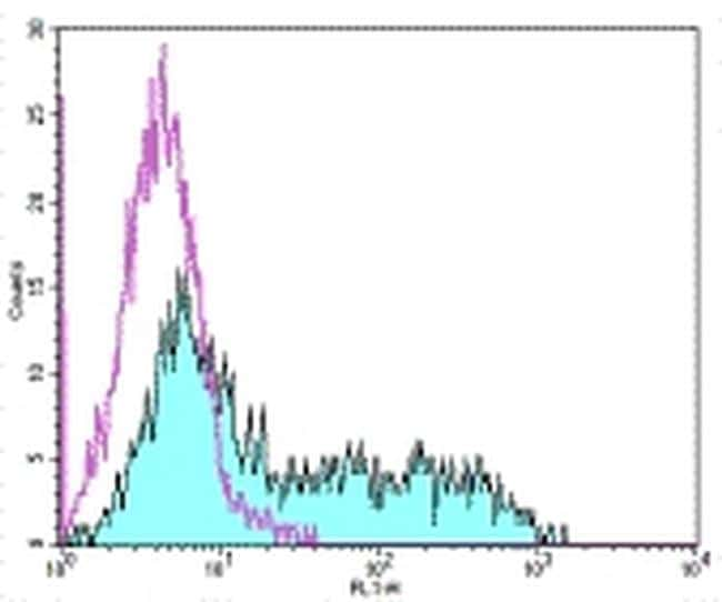 CD278 Purified Thermo Fisher Scientific antibody anti target:Mouse, Rat, Rhesus macaque host:Armenian Hamster isotype:IgG clone:C398.4A Staining of 2-day Con A-stimulated mouse splenocytes with 0.25 &micro;g Anti-Mouse/Rat CD278 (ICO...