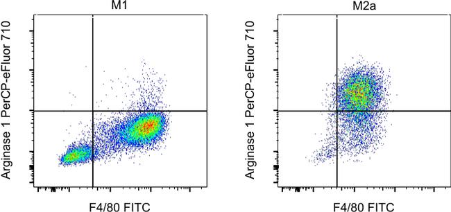 Arginase 1 PerCP-eFluor 710 Thermo Fisher Scientific antibody anti target:Human, Mouse host:Rat isotype:IgG2a κ clone:A1exF5 C57BL/6 mouse bone marrow derived macrophages were polarized for 24 hours with either LPS (Produc...