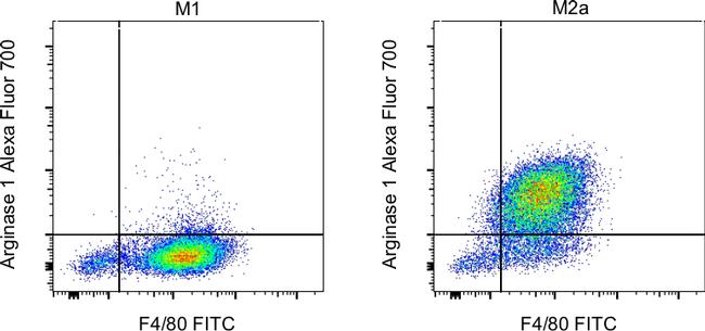 Arginase 1 Alexa Fluor 700 Thermo Fisher Scientific antibody anti target:Human, Mouse host:Rat isotype:IgG2a κ clone:A1exF5 C57BL/6 mouse bone marrow derived macrophages were polarized for 24 hours with either LPS (Produc...