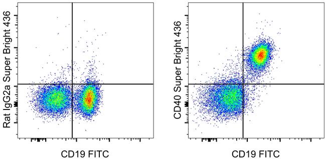 CD40 SuperBright 436 Thermo Fisher Scientific antibody anti target:Mouse host:Rat isotype:IgG2a κ clone:1C10 Staining of BALB/c splenocytes with Anti-Mouse CD19 FITC (Product # 11-0193) and 0.25 &micro;g of...