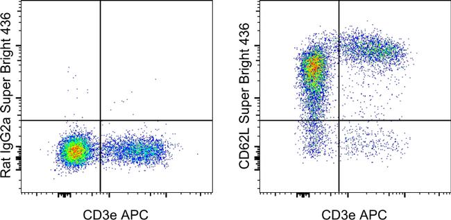 CD62L SuperBright 436 Thermo Fisher Scientific antibody anti target:Mouse host:Rat isotype:IgG2a κ clone:MEL-14 C57BL/6 mouse splenocytes were stained with CD3e Monoclonal Antibody, APC (Product # 17-0031-82) ...