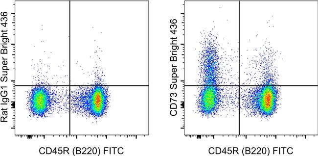 CD73 SuperBright 436 Thermo Fisher Scientific antibody anti target:Mouse host:Rat isotype:IgG1 clone:eBioTY/11.8 (TY/11.8) BALB/c mouse splenocytes were stained with CD45R (B220) Monoclonal Antibody, FITC (Product # 11-0...