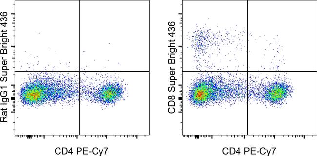 CD8a SuperBright 436 Thermo Fisher Scientific antibody anti target:Canine host:Rat isotype:IgG1 κ clone:YCATE55.9 Staining of normal canine peripheral blood cells with CD4 Monoclonal Antibody, PE-Cyanine7 (Produ...