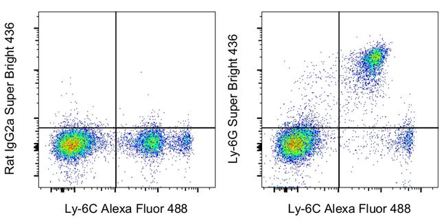 Ly-6G SuperBright 436 Thermo Fisher Scientific antibody anti target:Mouse host:Rat isotype:IgG2a κ clone:1A8-Ly6g BALB/c mouse bone marrow cells were stained with Ly-6C Monoclonal Antibody, Alexa Fluor 488 (Prod...