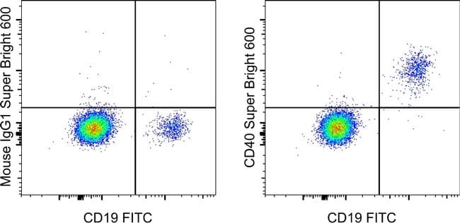 CD40 SuperBright 600 Thermo Fisher Scientific antibody anti target:Human host:Mouse isotype:IgG1 κ clone:5C3 Normal human peripheral blood cells were stained with CD19 Monoclonal Antibody, FITC (Product # 1...