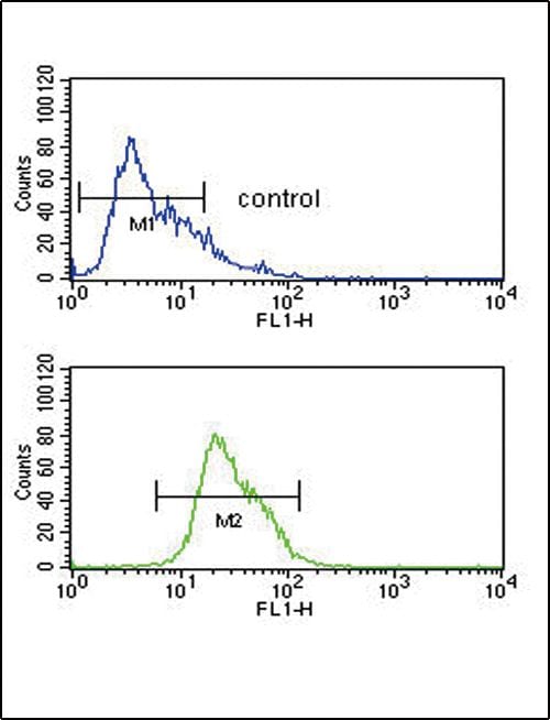 Alcohol dehydrogenase 1C Purified Thermo Fisher Scientific antibody anti target:Human host:Rabbit isotype:IgG clone: Flow cytometry analysis of CEM cells using an ADH1C polyclonal antibody (Product # PA5-25448) (bo...