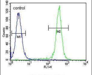 CCDC122 Purified Thermo Fisher Scientific antibody anti target:Human host:Rabbit isotype:IgG clone: Flow cytometry analysis of CEM cells using a CCDC122 polyclonal antibody (Product # PA5-24342) (r...