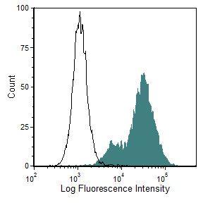 CD44 FITC Thermo Fisher Scientific antibody anti target:Mouse host:Rat isotype:IgG2a clone:KM81 Flow cytometric analysis of ATH mouse bone marrow stained using a CD44/H-CAM monoclonal antibody ...