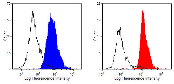 Crry Biotin Thermo Fisher Scientific antibody anti target:Rat host:Mouse isotype:IgG1 clone:5I2 Flow cytometric analysis of Wistar rat splenocytes (left) and bone marrow (right) were stained us...