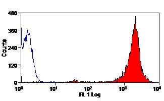 Cryptosporidium parvum Oocyst Purified Thermo Fisher Scientific antibody anti target:Protozoa host:Mouse isotype:IgG3 clone:BEL 0126 Flow cytometric analysis of Cryptosporidium parvum oocytes using a Cryptosporidium monoclonal ant...