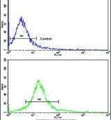 DOM3Z Purified Thermo Fisher Scientific antibody anti target:Human host:Rabbit isotype:IgG clone: Flow cytometry analysis of MDA-231 cells using a DOM3Z polyclonal antibody (Product # PA5-13587) ...