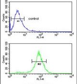 ELOVL2 Purified Thermo Fisher Scientific antibody anti target:Human host:Rabbit isotype:IgG clone: Flow cytometry analysis of HepG2 cells using an ELOVL2 polyclonal antibody (Product # PA5-26199) ...