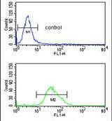 FOXG1 Purified Thermo Fisher Scientific antibody anti target:Human, Mouse host:Rabbit isotype:IgG clone: Flow cytometry analysis of U251 cells using a FOXG1 polyclonal antibody (Product # PA5-26794) (bo...