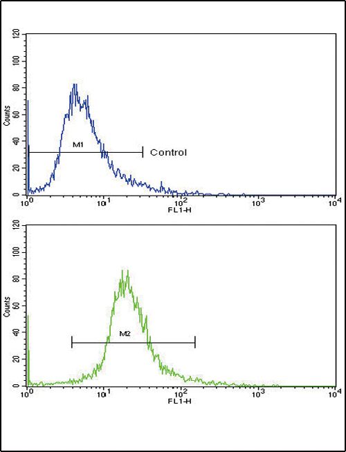 ALT Purified Thermo Fisher Scientific antibody anti target:Human host:Rabbit isotype:IgG clone: Flow cytometry analysis of 293 cells using a GPT polyclonal antibody (Product # PA5-14376) (botto...