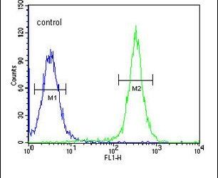 GSDMA Purified Thermo Fisher Scientific antibody anti target:Human, Mouse host:Rabbit isotype:IgG clone: Flow cytometry analysis of 293 cells using a GSDMA polyclonal antibody (Product # PA5-24813) (rig...