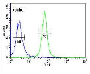 GTF2IRD2 Purified Thermo Fisher Scientific antibody anti target:Human host:Rabbit isotype:IgG clone: Flow cytometry analysis of K562 cells using a GTD2A polyclonal antibody (Product # PA5-24871) (ri...