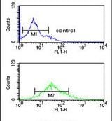 Histone H3 (dimethyl K9) Purified Thermo Fisher Scientific antibody anti target:Human host:Rabbit isotype:IgG clone: Flow cytometry analysis of K562 cells using a Histone H3-K9 polyclonal antibody (Product # PA5-24...