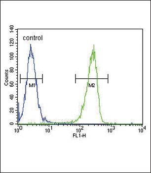 KIR2DS2 Purified Thermo Fisher Scientific antibody anti target:Human host:Rabbit isotype:IgG clone: Flow cytometry analysis of A2058 cells using a KIR2DS2 polyclonal antibody (Product # PA5-25668) ...