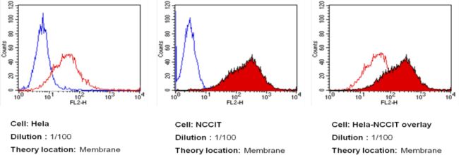 SSEA3 PE Thermo Fisher Scientific antibody anti target:Human host:Rat isotype:IgM clone:MC-631 Flow cytometry analysis of SSEA-3 in NCCIT (red filled histogram) and HeLa cells (red unfilled hi...