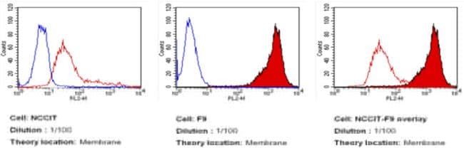 CD15 PE Thermo Fisher Scientific antibody anti target:Human, Mouse host:Mouse isotype:IgM clone:MC-480 Flow cytometry analysis of SSEA-1 in F9 (red filled histogram) and NCCIT cells (red unfilled hist...