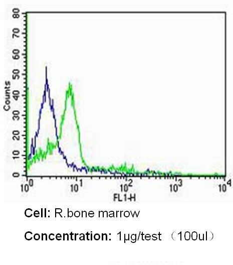 CD235a Purified Thermo Fisher Scientific antibody anti target:Human, Rat host:Mouse isotype:IgG1 κ clone:JC159 Flow cytometry analysis of CD235a/Glycophorin A in rat bone marrow cells (green) compared to an i...