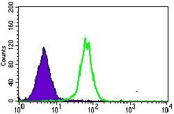 MRPL42 Purified Thermo Fisher Scientific antibody anti target:Human host:Mouse isotype:IgG1 clone:3H6G11 Flow cytometric analysis of HepG2 cells using MRPL42 monoclonal antibody (Product # MA5-17128) (g...