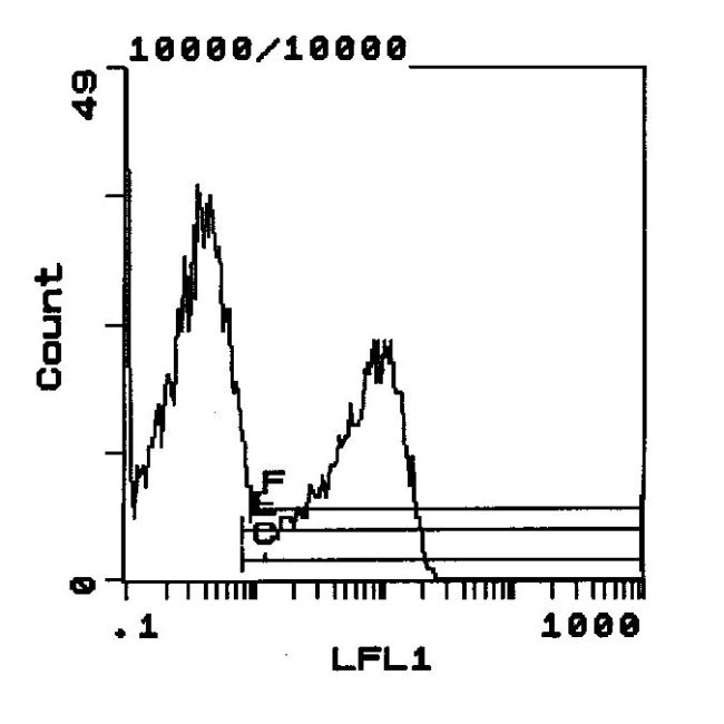 MHC II (RT1-B) Biotin Thermo Fisher Scientific antibody anti target:Rat host:Mouse isotype:IgG1 clone:OX-6 Flow cytometric analysis of Spleen cells stained using anti-RT1.B Monoclonal Antibody (Product # ...