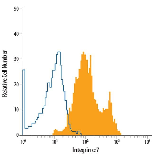 Integrin alpha 7 Alexa Fluor 700 Thermo Fisher Scientific antibody anti target:Mouse host:Rat isotype:IgG2b clone:334908 Flow cytometric analysis of C2C12 mouse myoblast cell line was stained with Rat Anti-Mouse Integr...