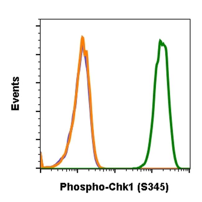 Chk1 (pS345) Purified Thermo Fisher Scientific antibody anti target:Human, Mouse, Rat host:Rabbit isotype:IgG κ clone:Chk1S345-R3F9 Flow cytometry of Phospho-CHK1 in NIH3T3 cells. Sample was incubated with Phospho-CHK1 monoclonal...