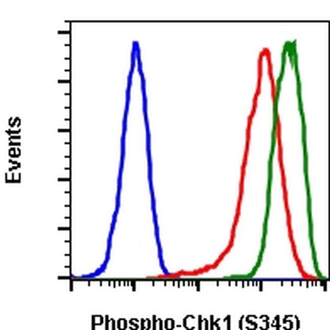 Chk1 (pS345) Purified Thermo Fisher Scientific antibody anti target:Human, Mouse, Rat host:Rabbit isotype:IgG κ clone:Chk1S345-R3F9 Flow cytometry of Phospho-CHK1 in HeLa cells. Sample was incubated with Phospho-CHK1 monoclonal a...