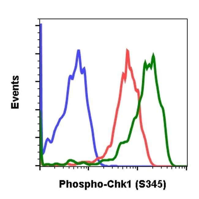 Chk1 (pS345) Purified Thermo Fisher Scientific antibody anti target:Human, Mouse, Rat host:Rabbit isotype:IgG κ clone:Chk1S345-R3F9 Flow cytometry of Phospho-CHK1 in HeLa cells. Sample was incubated with Phospho-CHK1 monoclonal a...