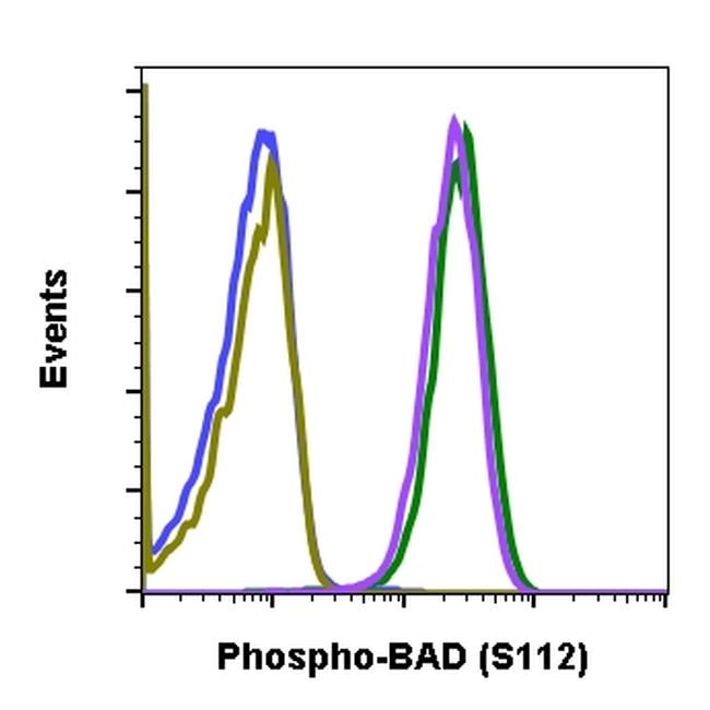 BAD (pS112) Purified Thermo Fisher Scientific antibody anti target:Human, Mouse, Rat host:Rabbit isotype:IgG clone:BADS112-B9 Flow cytometry of Phospho-BAD in U937 cells. Sample was incubated with Phospho-BAD monoclonal ant...