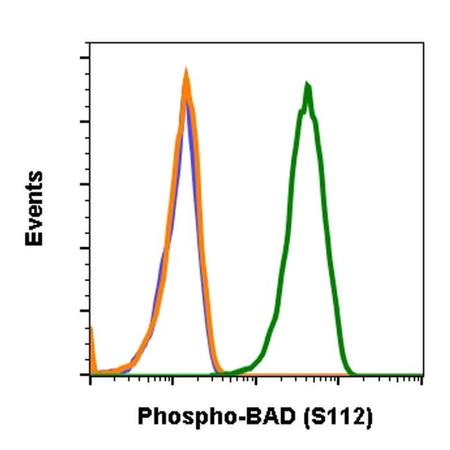 BAD (pS112) Purified Thermo Fisher Scientific antibody anti target:Human, Mouse, Rat host:Rabbit isotype:IgG clone:BADS112-B9 Flow cytometry of Phospho-BAD in NIH3T3 cells. Sample was incubated with Phospho-BAD monoclonal a...