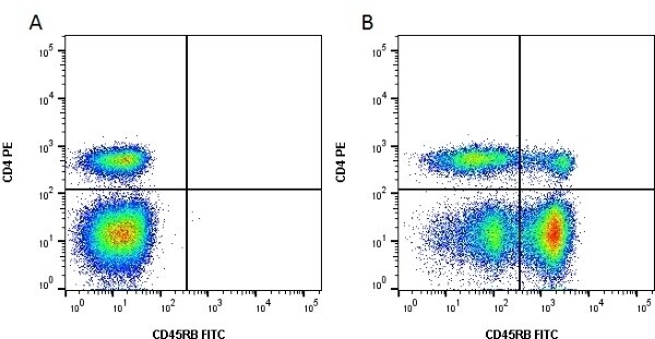 CD45RB FITC Thermo Fisher Scientific antibody anti target:Bovine host:Mouse isotype:IgG1 clone:CC76 Flow cytometry of CD45RB in red cell lysed bovine blood. Sample was incubated in the presence of ...