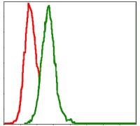 MEK7 Purified Thermo Fisher Scientific antibody anti target:Human host:Mouse isotype:IgG1 clone:4E5 Flow cytometric analysis of HeLa cells using MAP2K7 monoclonal antibody (Product # MA5-15925) (gr...