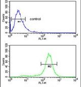 MASTL Purified Thermo Fisher Scientific antibody anti target:Human host:Rabbit isotype:IgG clone: Flow cytometry analysis of HepG2 cells using a MASTL polyclonal antibody (Product # PA5-25934) (b...