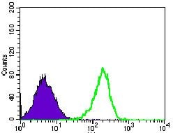 MRPL42 Purified Thermo Fisher Scientific antibody anti target:Human host:Mouse isotype:IgG1 clone:3H6G11 Flow cytometric analysis of HEK293 cells using MRPL42 monoclonal antibody (Product # MA5-17128) (...