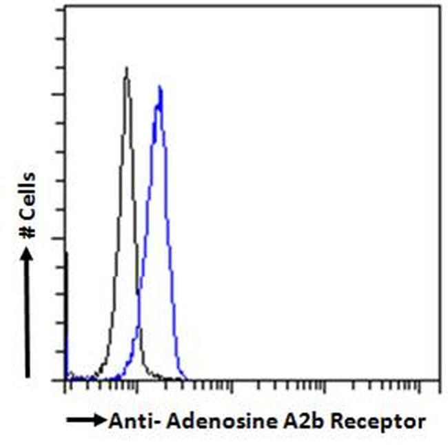 Adenosine A2b Receptor Purified Thermo Fisher Scientific antibody anti target:Human host:Goat isotype:IgG clone: Flow cytometric analysis of ADORA2B in Kelly cells using a ADORA2B monoclonal antibody (Product #...