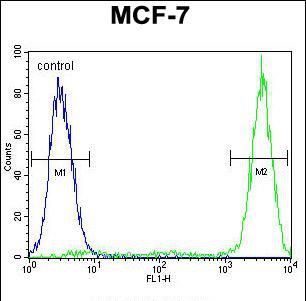 GALNS Purified Thermo Fisher Scientific antibody anti target:Human host:Rabbit isotype:IgG clone: Flow cytometry analysis of GALNS in MCF-7 cells (right) compared to a negative control (left) usi...