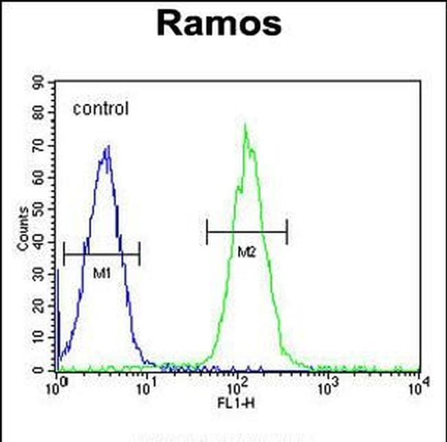 PRR22 Purified Thermo Fisher Scientific antibody anti target:Human host:Rabbit isotype:IgG clone: Flow cytometric analysis of MGC24975 in Ramos cells (right histogram) compared to a negative cont...