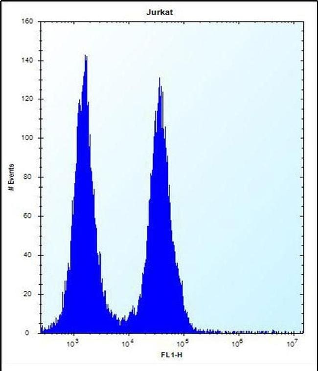 FAM8A1 Purified Thermo Fisher Scientific antibody anti target:Human host:Rabbit isotype:IgG clone: Flow cytometric analysis of FA8A1 in Jurkat cells (right histogram) compared to a negative contro...