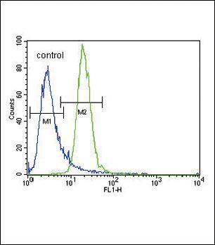 AMPK alpha 2 Purified Thermo Fisher Scientific antibody anti target:Human host:Rabbit isotype:IgG clone: Flow cytometry analysis of K562 cells using a PRKAA2 polyclonal antibody (Product # PA5-25987) (r...