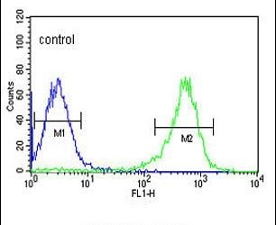 PYCR1 Purified Thermo Fisher Scientific antibody anti target:Human host:Rabbit isotype:IgG clone: Flow cytometry analysis of HepG2 cells using a PYCR1 polyclonal antibody (Product # PA5-26890) (r...