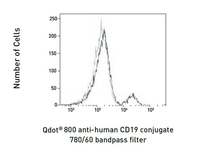 CD19 Qdot 800 Thermo Fisher Scientific antibody anti target:Human host:Mouse isotype:IgG1 κ clone:SJ25-C1 Sample was acquired and analyzed using 405 nm excitation and specified band pass emission filter ...