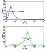 RNF208 Purified Thermo Fisher Scientific antibody anti target:Human, Mouse host:Rabbit isotype:IgG clone: Flow cytometry analysis of HepG2 cells using a RNF208 polyclonal antibody (Product # PA5-25646) (...