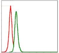 Src Purified Thermo Fisher Scientific antibody anti target:Human, Mouse, Non-Human Primate, Rat host:Mouse isotype:IgG1 clone:1F11 Flow cytometric analysis of MCF-7 cells using SRC monoclonal antibody (Product # MA5-15924) (gree...