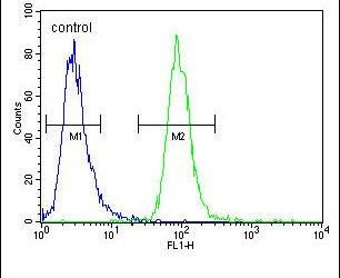 ZSWIM6 Purified Thermo Fisher Scientific antibody anti target:Human host:Rabbit isotype:IgG clone: Flow cytometry analysis of MDA-MB231 cells using a ZSWIM6 polyclonal antibody (Product # PA5-2413...