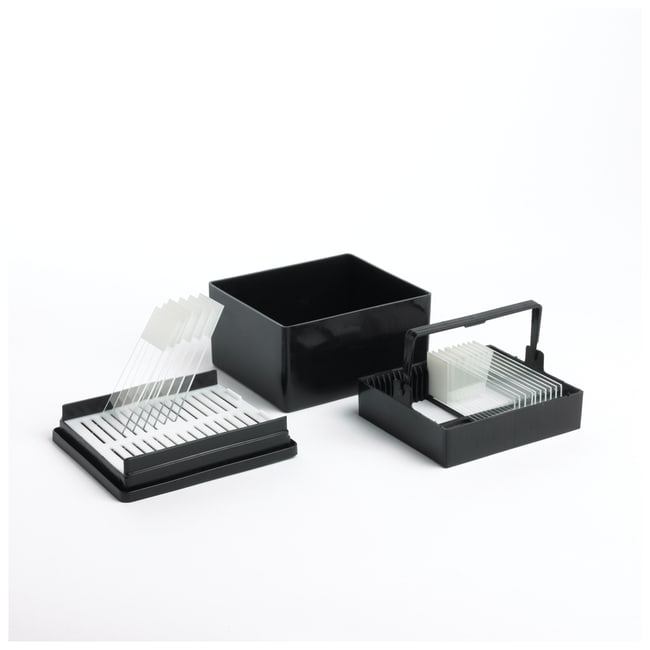 Plastic Staining Dish, Cover and Rack